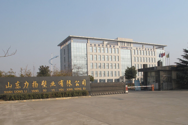Chiny Shandong Liyang Plastic Molding Co., Ltd.